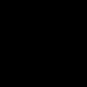 Meet your Posher, Donald